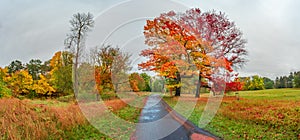 Panoramic view over city park Rotehorn and walking path in Autumn golden colors at cloudy rainy day, Magdeburg, Germany