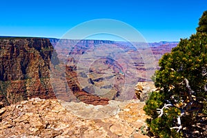 Panoramic view over the grand canyon