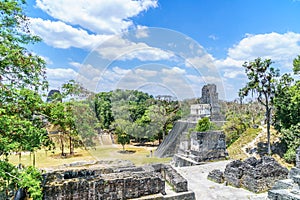 Panoramic view over Maya pyramids and temples in national park Tikal in Guatemala