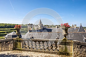 Panoramic view over the roof of chateau Villandry with park and garden on the background, Loire valley, France