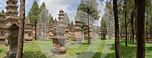 Panoramic view of Pagoda forest in Shaolin temple, Dengfeng, Henan Province, China.