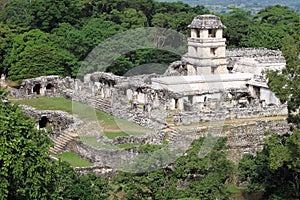 Panoramic view of The Palace complex in Palenque