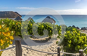 Panoramic view of a paradisiacal beach of Playa Dolphin in Cancun city (Mexico).