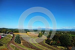 Panoramic view of patchwork field against the blue sky