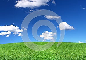 Panoramic view of peaceful grassland