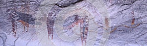 Panoramic view of Petroglyphs of stick figures from Atlati Rock, NV photo
