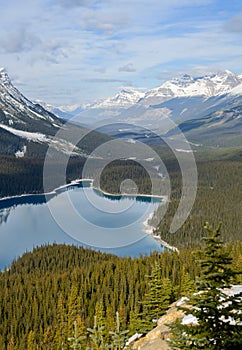 Panoramic view of Peyto Lake in Banff National Park in the Rocky Mountains, Alberta, Canada
