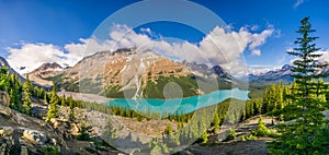 Panoramic view at the Peyto lake from Bow Summit in Banff National Park - Canada