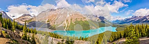 Panoramic view at the Peyto lake with rainbow from Bow Summit in Banff National Park - Canadian Rocky Mountains