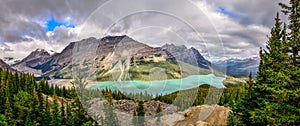 Panoramic view of Peyto lake and Rocky mountains, Canada photo