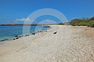 Panoramic view of Playa Carola white sandy beach with lighthouse at the end of the beach San Cristobal Galapagos island