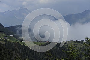 Panoramic view of Pokut plateau in blacksea karadeniz, Rize, Turkey. Tree, grass