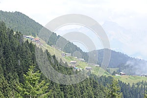 Panoramic view of Pokut plateau in blacksea karadeniz, Rize, Turkey. Tree, grass