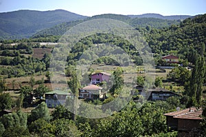 Panoramic view of Pokut plateau in blacksea karadeniz, Rize, Turkey. Tree, grass