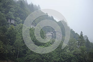 Panoramic view of Pokut plateau in blacksea karadeniz, Rize, Turkey. Tree, grass