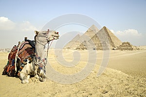 Panoramic View Of The Pyramids From Giza Plateau, Cairo, Egypt