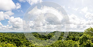 Panoramic View of rainforest and Mayan Ruins . Tikal National Pa