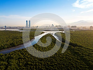 Panoramic view of Ras al Khaimah over mangrove forest in the UAE