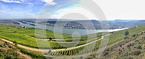 Panoramic view Rheingau region