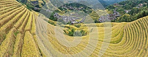 Panoramic view of rice fields in Longji, China