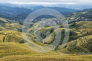 Panoramic view of rice fields in Longji, China