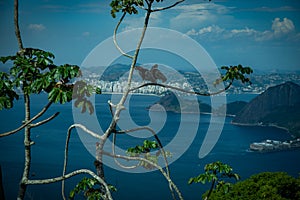 Panoramic view of Rio de Janeiro, Brazil with Cable car and Sugar Loaf mountain