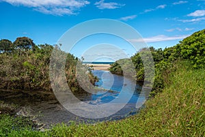 Panoramic view of a river mouth near the sea at the Campeche Beach, in Florianopolis, Brazil