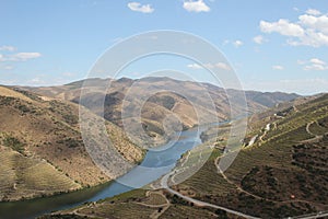Panoramic view on a river and wineries among hills