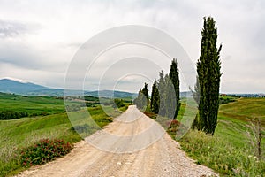 Panoramic view of a road in Val d'Orcia