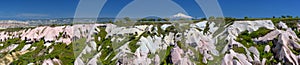 Panorama of rose valley with a peak of mount Erciyes, Goreme national park in Cappadocia Turkey