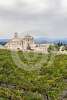 Panoramic view of the royal monastery of Santa Maria de Poblet