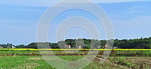 Panoramic view of rural and architectural scenery of riverside plain in spring