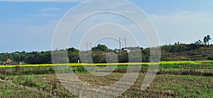 Panoramic view of rural and architectural scenery of riverside plain in spring