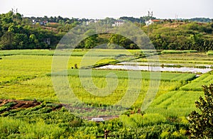 Panoramic view of rural and architectural scenery of riverside plain in spring