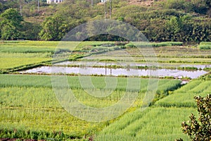 Panoramic view of rural and architectural scenery of riverside plain in spring