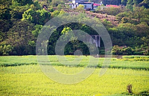 Panoramic view of rural and architectural scenery of riverside plain in spring