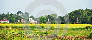 Panoramic view of rural scenery of riverside plain in spring