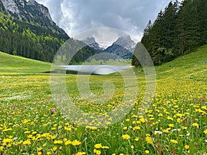 Panoramic view of Saemtisersee with wild flower meadow in Alpstein, Appenzell, Switzerland. photo