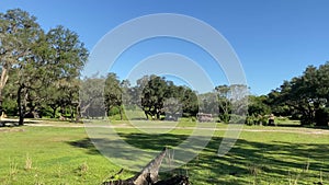 Panoramic view of safari trip from the vehicle to the savannah view in Africa under clear sky