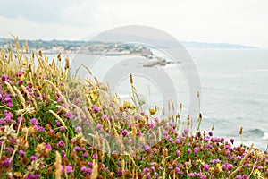 Panoramic view of Saint Jean de Luz, France, Europe