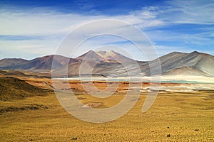 Panoramic View of Salar de Talar, the High Plateau Salt Lakes in Los Flamencos National Reserve, Antofagasta Region of Chile photo