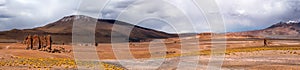 Panoramic view in Salar De Tara, Atacama Desert, Chile