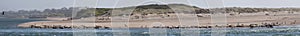 Panoramic View of Salishan Spit