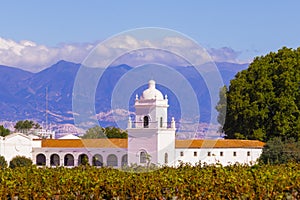 Panoramic view of the Salta vineyards in Cafayate, northern Argentina