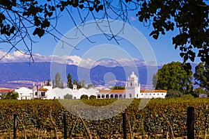 Panoramic view of the Salta vineyards in Cafayate, northern Argentina