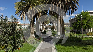 Panoramic view of San Francisco park full of palm trees in downtown Latacunga on a sunny day photo