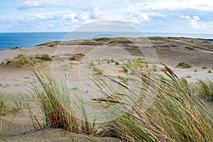 Panoramic view of sand dunes in Nida, Klaipeda, Lithuania, Europe