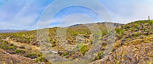 Panoramic view of Santa Catalina Mountains at Saguaro National Park (East), Tucson Arizona