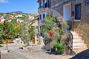 Panoramic view of Satriano di Lucania. Italy.