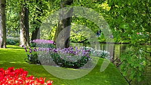 Panoramic view of Scenic Keukenhof gardens in the Netherlands